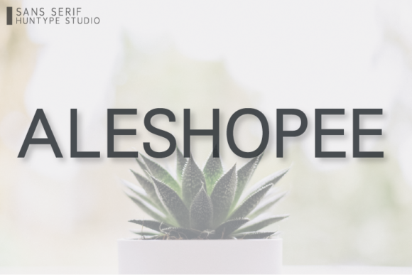 Aleshopee: A Clean Sans Serif Font for Business
