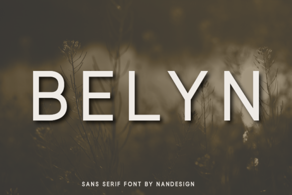 Belyn: A Modern Sans Serif Font for Small Business Branding