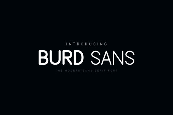 Burd Sans: The Modern Typeface for Clear Campaigns