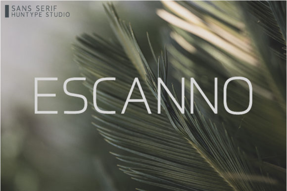 Escanno: A Clean Sans Serif for Modern Branding