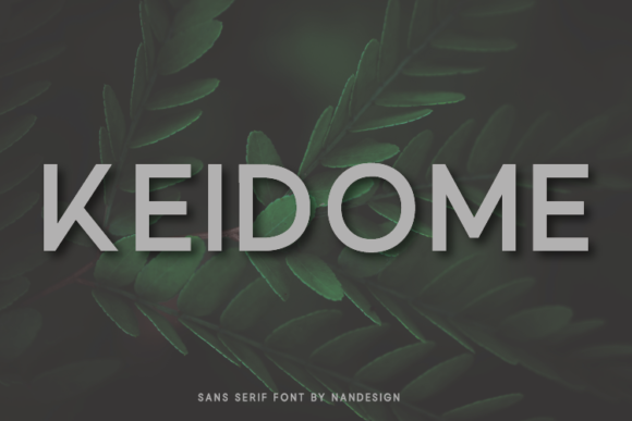 Keidome: The Modern Sans Serif Font for Clear Campaigns