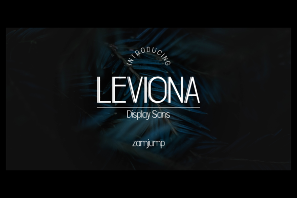 Leviona Typeface for Modern Branding