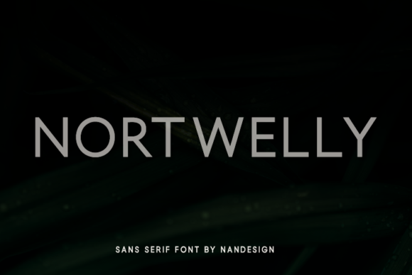 Nortwelly: A Refined Sans Serif Typeface for Modern Editors