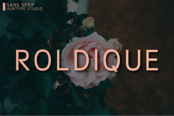 Roldique: A Minimal Sans Serif Font for Branding