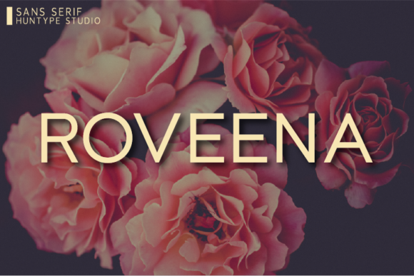 Roveena: The Ultimate Clean Sans Serif Font for Design