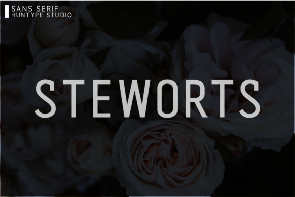 Steworts: The Ultimate Elegant Sans Serif Font Review